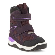 Ecco Snow Mountain