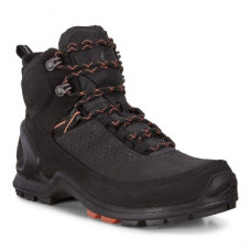 Ecco Biom Terrain