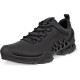 Ecco Biom Aex