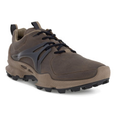 Ecco Biom C-Trail