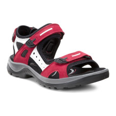 Ecco Offroad