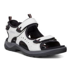 Ecco Offroad