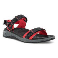 Ecco X-Trinsic