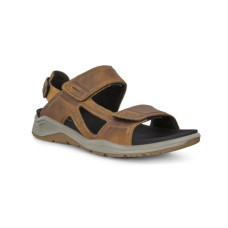 Ecco X-Trinsic